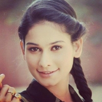 aneri vajani