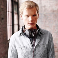 avicii