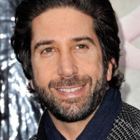 david schwimmer