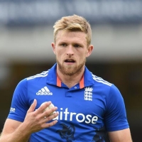 david willey