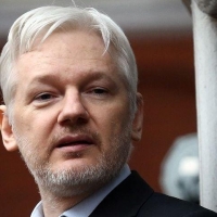 julian assange