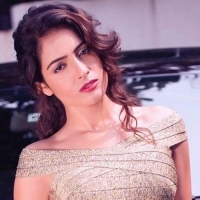 malvi malhotra