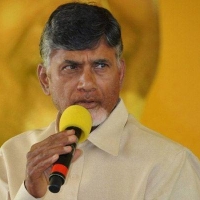 n. chandrababu naidu