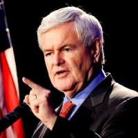 newt gingrich