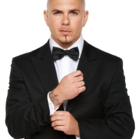 pitbull