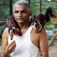 prakash amte