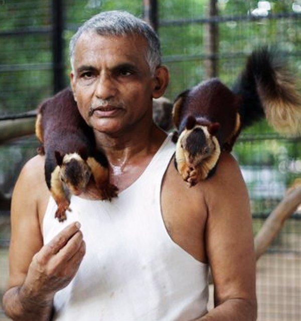 Prakash Amte