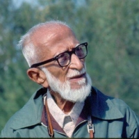 salim ali