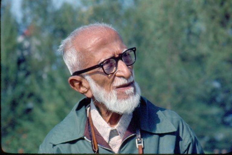 Salim Ali