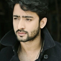 shaheer sheikh