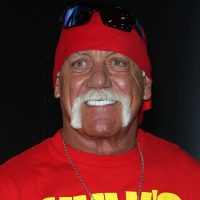 hulk hogan